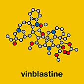 Vinblastine cancer chemotherapy drug molecule, illustration