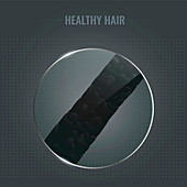 Healthy hair surface, illustration