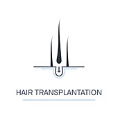 Hair transplantation, conceptual illustration