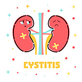 Cystitis, conceptual illustration