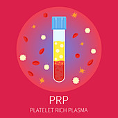 PRP test tube, illustration