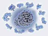 Antibiotic resistant bacterium, conceptual illustration