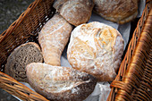 Various fresh bread rolls in a wicker basket