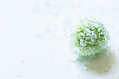 Peas with ice crystals