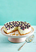 Baked almond banana and blueberry cheesecake