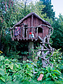 Uriges Kinder-Spielhaus auf Baumstumpf