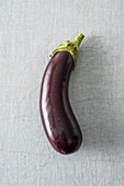 A long aubergine