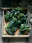 Freshly picked broccoli in a wooden box