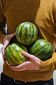 Mann hält drei Wassermelonen