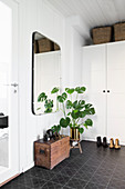 Wooden trunk and Swiss cheese plant in hallway with black tiled floor