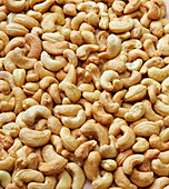 Unsalted cashew nuts (filling the picture)
