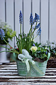 Grape hyacinths, violas, primulas and hand-sewn heart in planter