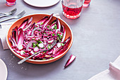 Purple salad with red cabbage, radichio, radish, red onion with mustard dressing and parsley (vegan, vegeterian)