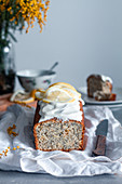 Sponge cake with lemon and poppy seeds decorated with icing and slices of fresh lemon