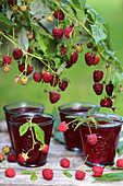 Four glasses of raspberry juice and fresh raspberries