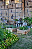 Vegetables in raised beds in rustic garden