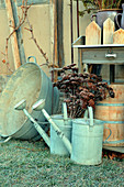 Still-life arrangement of zinc watering cans, zinc tub and and dried sedum