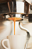 A shot of espresso extracting from a portafilter into a white espresso cup