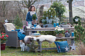 Woman decorates Christmas seating group in the garden: bowl with pine, dwarf spruce and curry herb, stars, cones, candles, bench with fur and wicker chair as a seat, dog Zula
