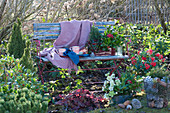 Winterlich dekorierter Sitzplatz im Garten, Korb mit Zapfen