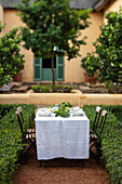 Table set with white tablecloth between box hedges