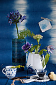 Schmucklilie, Anemone, Nelke und Clematis in Vasen vor blauer Wand