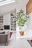 Potted tree, fireplace and shelves in white living room