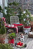 Weihnachtliche Terrasse mit Kiefer und Zuckerhutfichte, geschmückt mit Sternen und Lichterkette