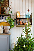 Christmas tree, plant pots and vintage-style ornaments against board wall