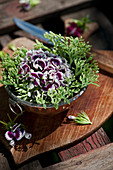 Arrangement of sweet William and stonecrop in small bowl