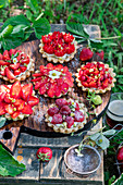 Erdbeertörtchen auf Gartentisch