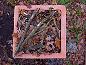 Terracotta-Kübel mit Herbstlaub und Zweigen als Winterschutz