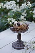 Easter egg in Easter nest in birdbath decorating table