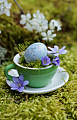 Blue quail egg, liverwort and moss in espresso cup