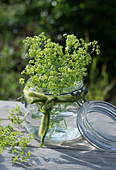 Posy of lady's mantle in preserving jar