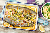 Trouts baked with lemon, dill and garlic