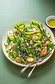 Frühlingssalat mit Ei, Spargel, Frühkartoffeln, Radieschen, Kresse und Salatherzen