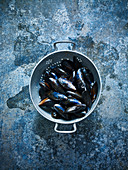 Mussels in a collander against a blue background