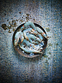 Raw prawns in a collander against a blue background