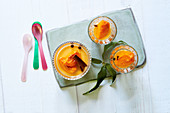 Charred honey panna cotta with apricot compote