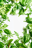 Romaine, arugula, spinach and mizuna leaves flatlay