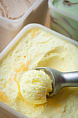 Vanilla ice cream on an ice cream scoop
