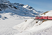 Switzerland, Engadin, Pontresina: railway with Bernina Express at Lago Bianco, Rhaetische Bahn, UNESCO world heritage