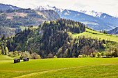 Goldegg am See, Pongau, Salzburger Land, Austria