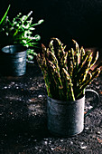 Bunch of fresh green asparagus in metal pot placed