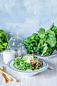 Green salad with poached egg