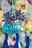 Blue agapanthus in Oriental, suspended vase