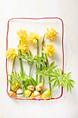 Narcissus flowers and old wooden Easter eggs in stylised frame of decorative wire