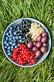 A bowl of various fresh berries in the grass