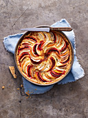 Root vegetable tart with cheese